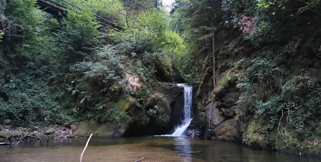 Geroldsauer Wasserfall im Sommer mit bemoosten Steinen und klarem Wasser im Schwarzwald