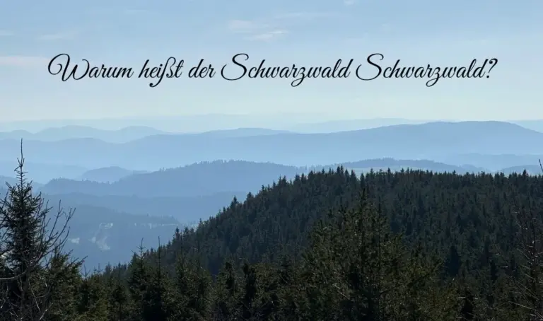 Warum heißt der Schwarzwald Schwarzwald? Panoramablick auf dunkle Fichten Kulando 2026