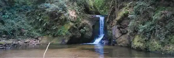 Geroldsauer Wasserfall Baden-Baden